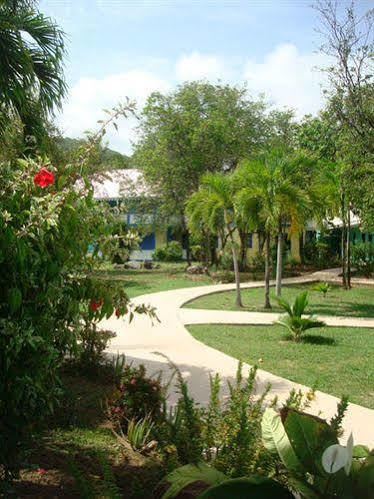 Nanny Cay Hotel بلدة رود المظهر الخارجي الصورة